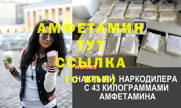 сатива Вязники
