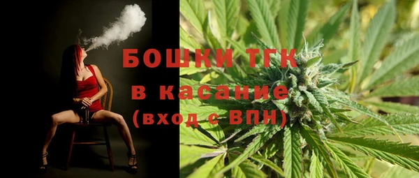 mdpv Горнозаводск